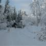 Mary Lake Area
