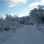 Mary Lake Area