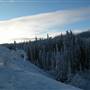 Mary Lake Area