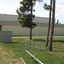 Selkirk Elementary