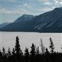 Tagish Lake May