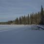 Yukon Forest Cabins