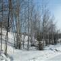 Yukon Wildlife Preserve