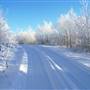Vista Road