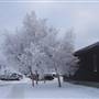 Whitehorse Winter Street Scenes