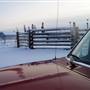 Winter Farms