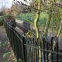 Queensmead Recreation Ground