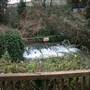 Riverside Gardens