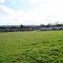 Robin Hood Green