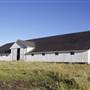 Pierce Point Ranch