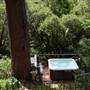 Vintage 1920's Home on 5 Forested Acres
