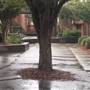 Central Gwinnett High School