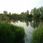 Bedfont Lakes Country Park