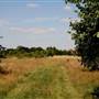 Hanworth Park