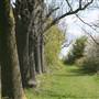 Gunpowder Park