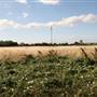Tottenham Marshes