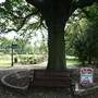 Edgwarebury Park