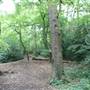 Oak Hill Park