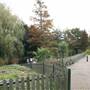 Old Court House Park
