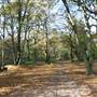 Scratchwood Nature Reserve