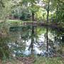 Totteridge Ponds