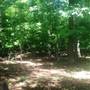Little Mulberry Park