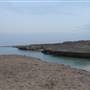 Coral Reef Near Sea- Farasan Island الشعاب المرجانية قرب البحر – أرخبيل فرسان