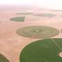 Green Circular Farms - Meegowa  - المزارع الدائرية الخضراء - ميقوع