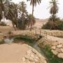 Well of Moses - عين موسى