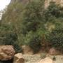 Wadi Lajab  - وادي لجب