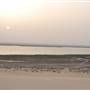 Asfar Lake - بحيرة الأصفر - الأحساء
