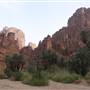 Wadi Al-Disah  - وادي الديسة