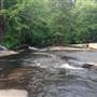 Tribble Mill Park