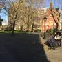 Dovehouse Green
