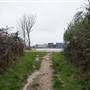 Thamesmead - Miles Drive