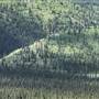 Kusawa Ridge - 4 hour hike,starts with creek, rocks, trees thin during climb.  Snow capped top year round (taken in June)