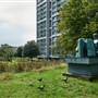 Brandon Estate