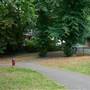 Friary Park