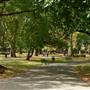 Kennington Park