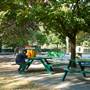 Whittington Park (and football pitch)