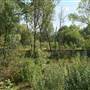 Middlesex Filter Beds Nature Reserve