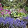 Trebah Gardens
