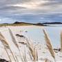 Tresco Island