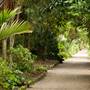 Tresco Abbey Gardens