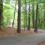 Lucky Shoals Park