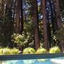 Pool House with Cottage