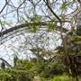 The Eden Project