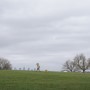 Ashburton Park