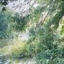 Lee Valley Caravan Park, Dobbs Weir
