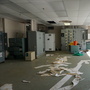 Plant Takeover at Abandoned Plant  - Bell Works